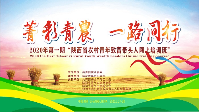  关于开展2020年陕西省农村青年致富带头人网上培训班的通知