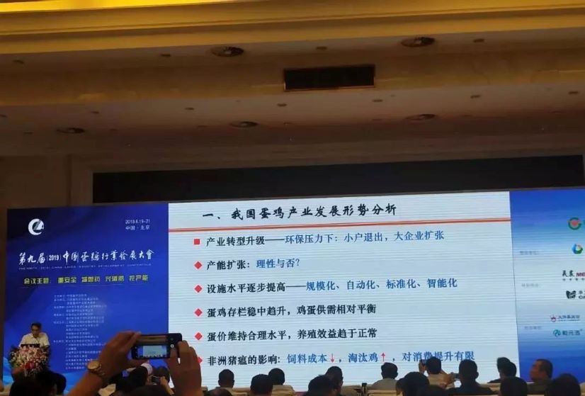 十博官网
