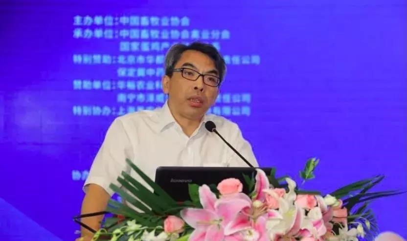 十博官网