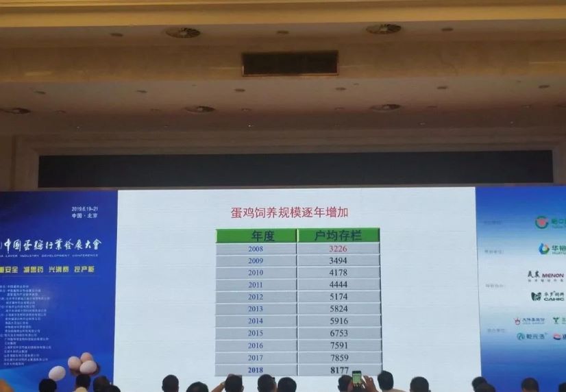 十博官网