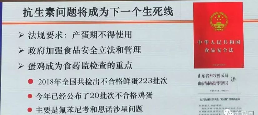 十博官网