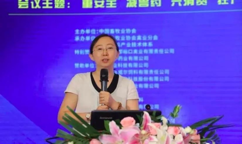 十博官网