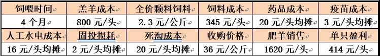 十博官网