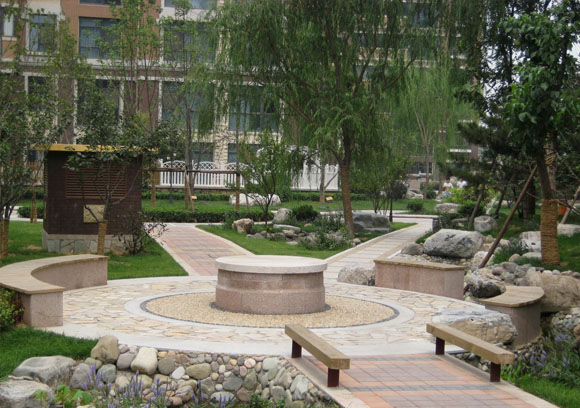 城市公园5