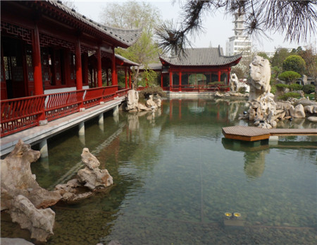 净化景观10