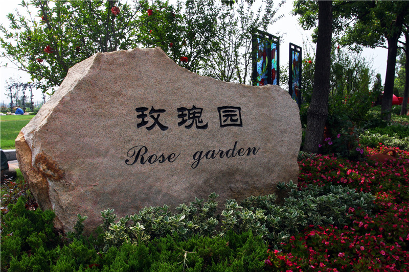 玫瑰园7