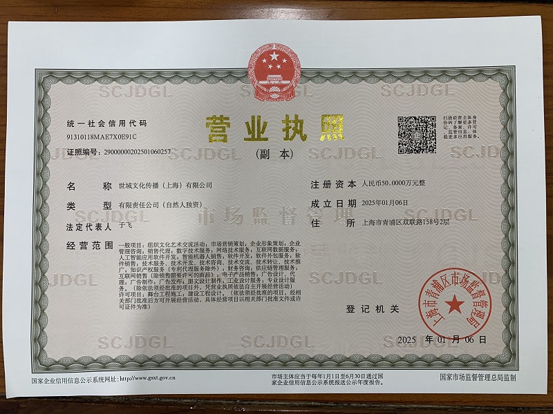 世域文化传播(上海)有限公司营业执照
