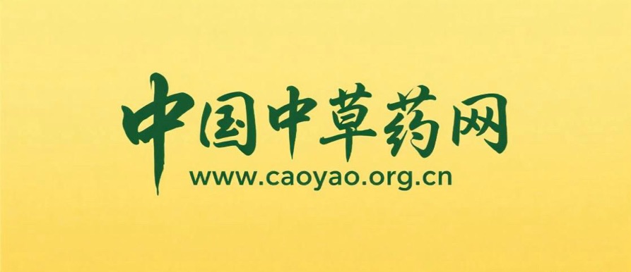 中国中草药网