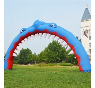 鲨鱼拱门