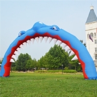 鲨鱼大型拱门